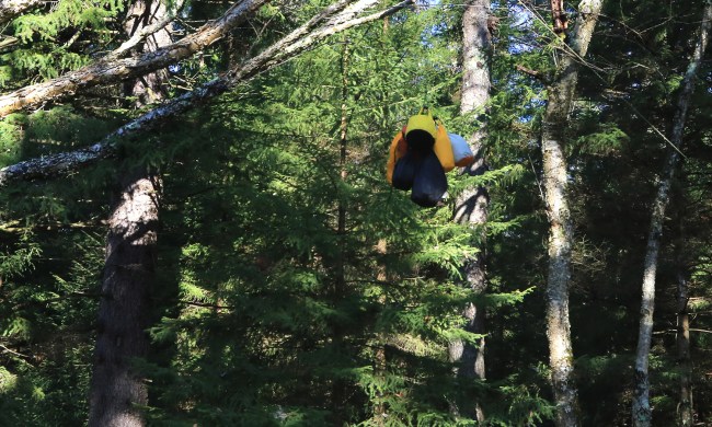 A bear bag hanging from a tree branch